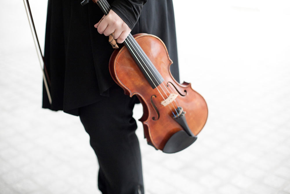 fotografía de violín